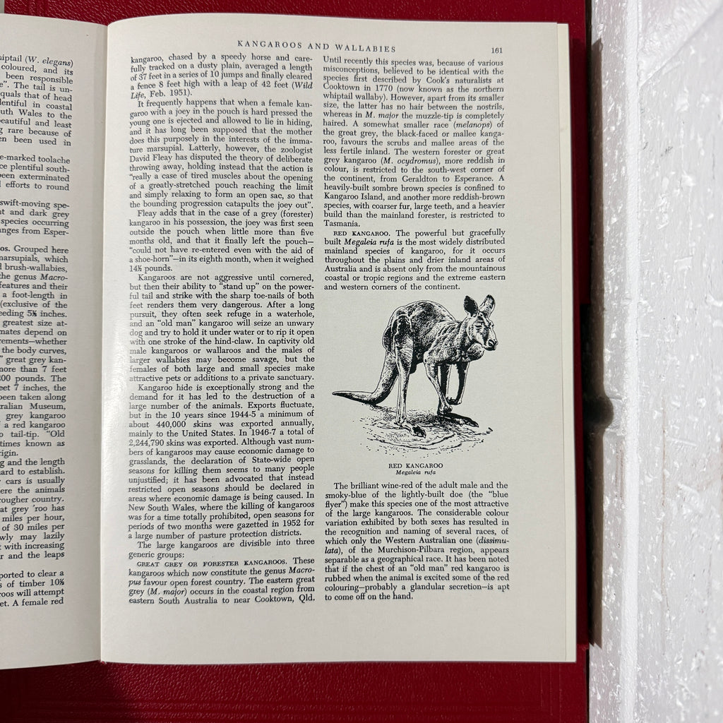 1963 The Grolier Society Australian Encyclopedia, 10 x Book Set, Red Edition VG