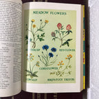 1964 Childrens Encyclopaedia Britannica Complete 12 Book Set, Burgundy Edition