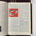 1964 Childrens Encyclopaedia Britannica Complete 12 Book Set, Burgundy Edition