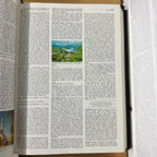 1993 Encyclopaedia Britannica Micropaedia Complete 32 Book Set, Black Edition, Gold Top