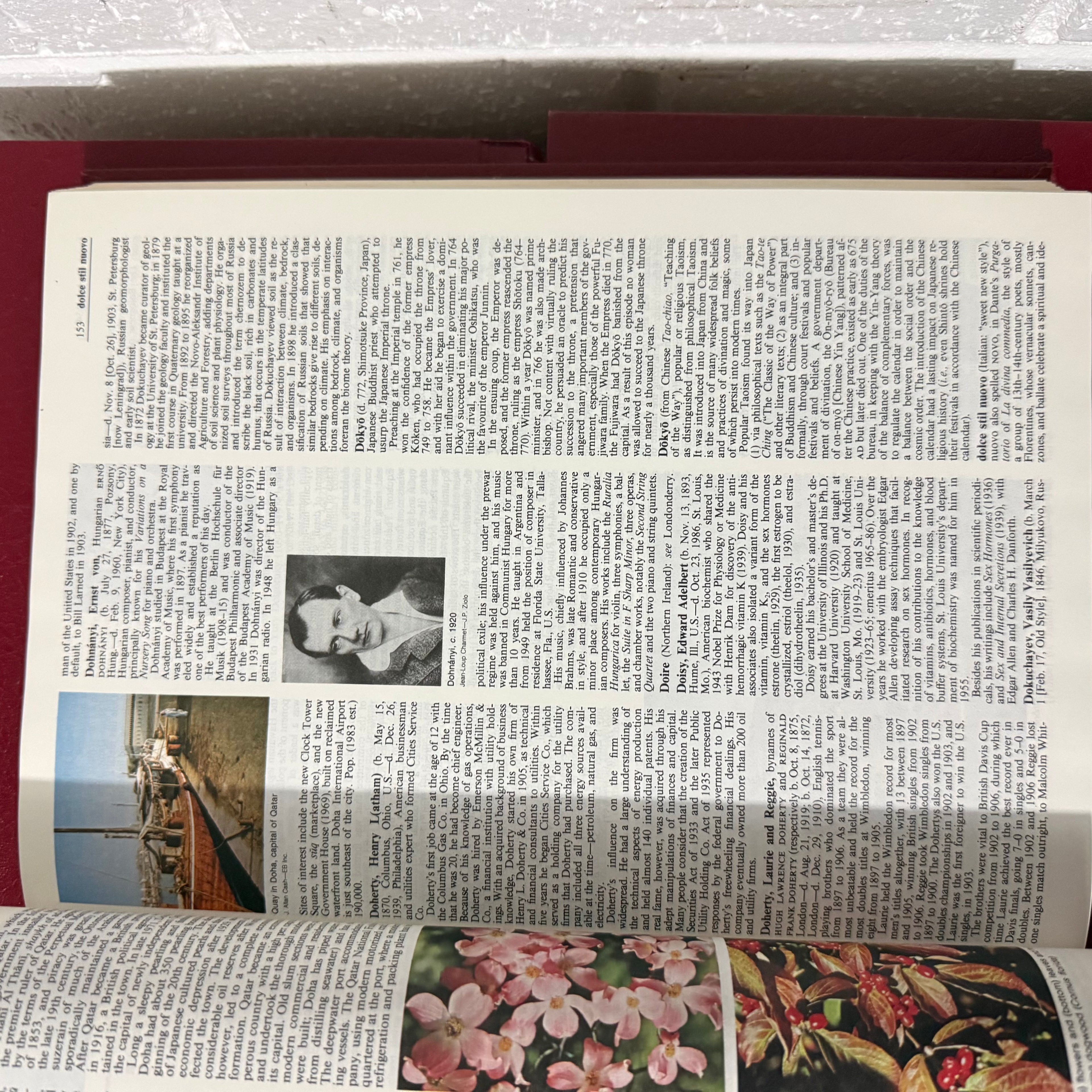 1989 Encyclopaedia Britannica Micropaedia Complete 32 Book Set, Red Edition