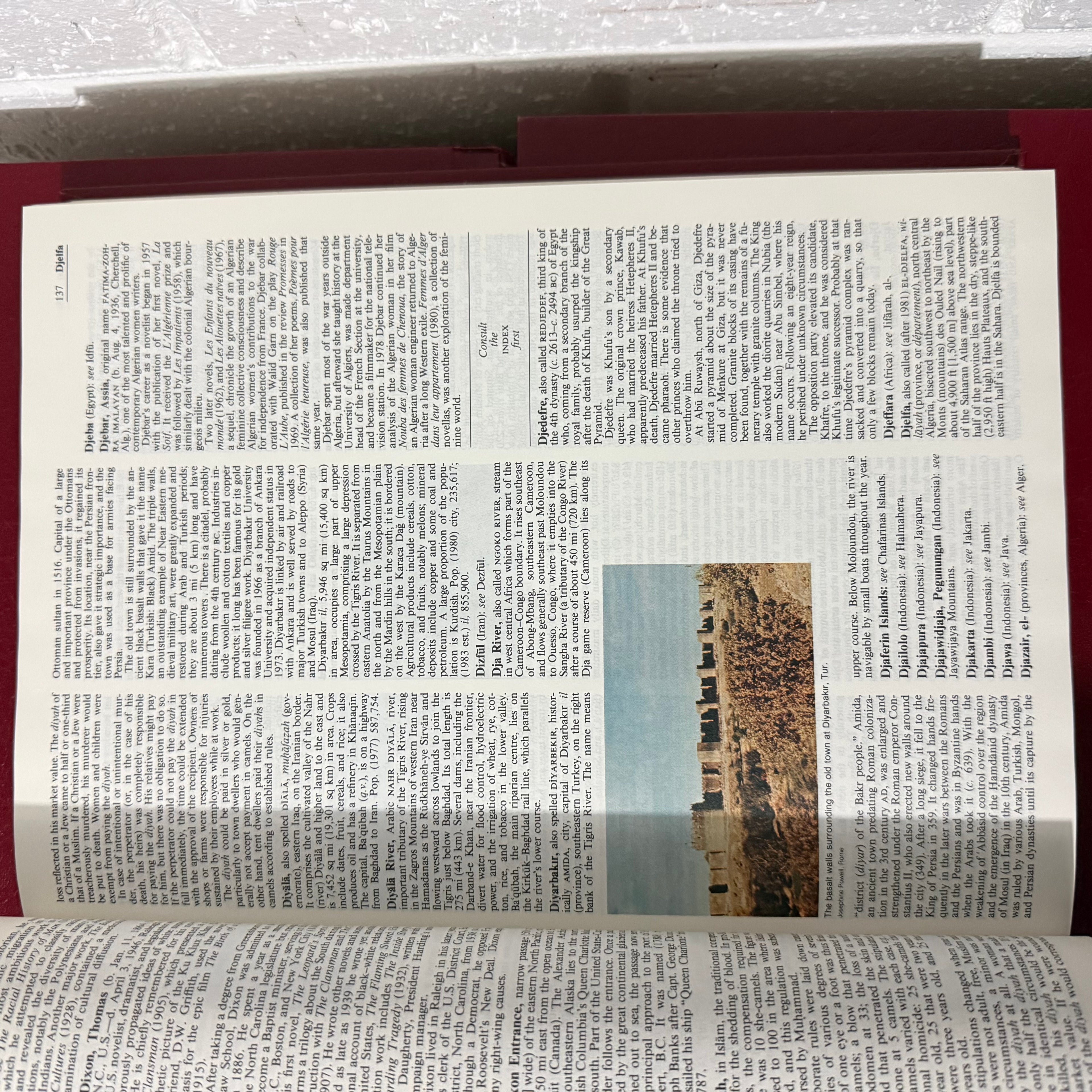 1989 Encyclopaedia Britannica Micropaedia Complete 32 Book Set, Red Edition