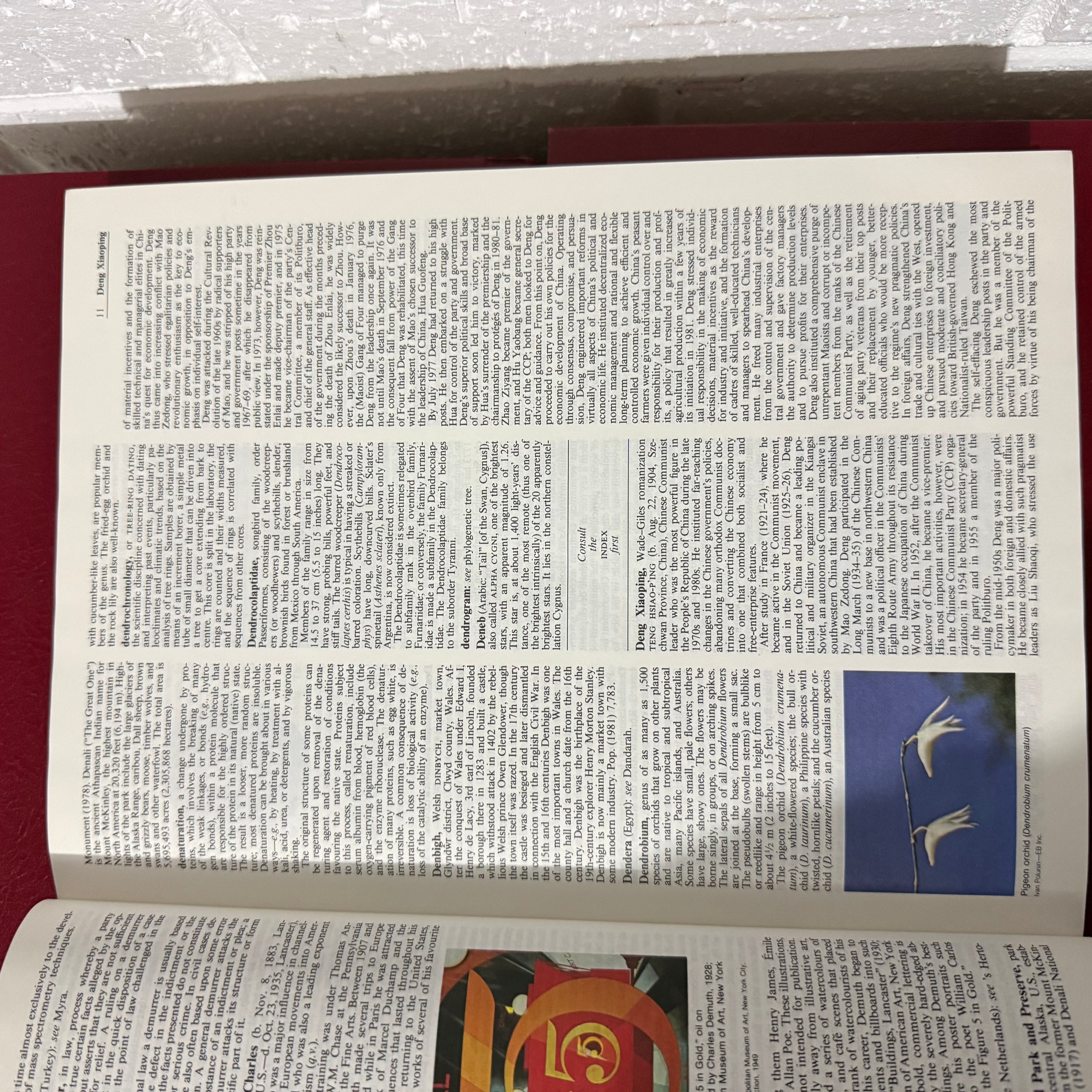 1989 Encyclopaedia Britannica Micropaedia Complete 32 Book Set, Red Edition