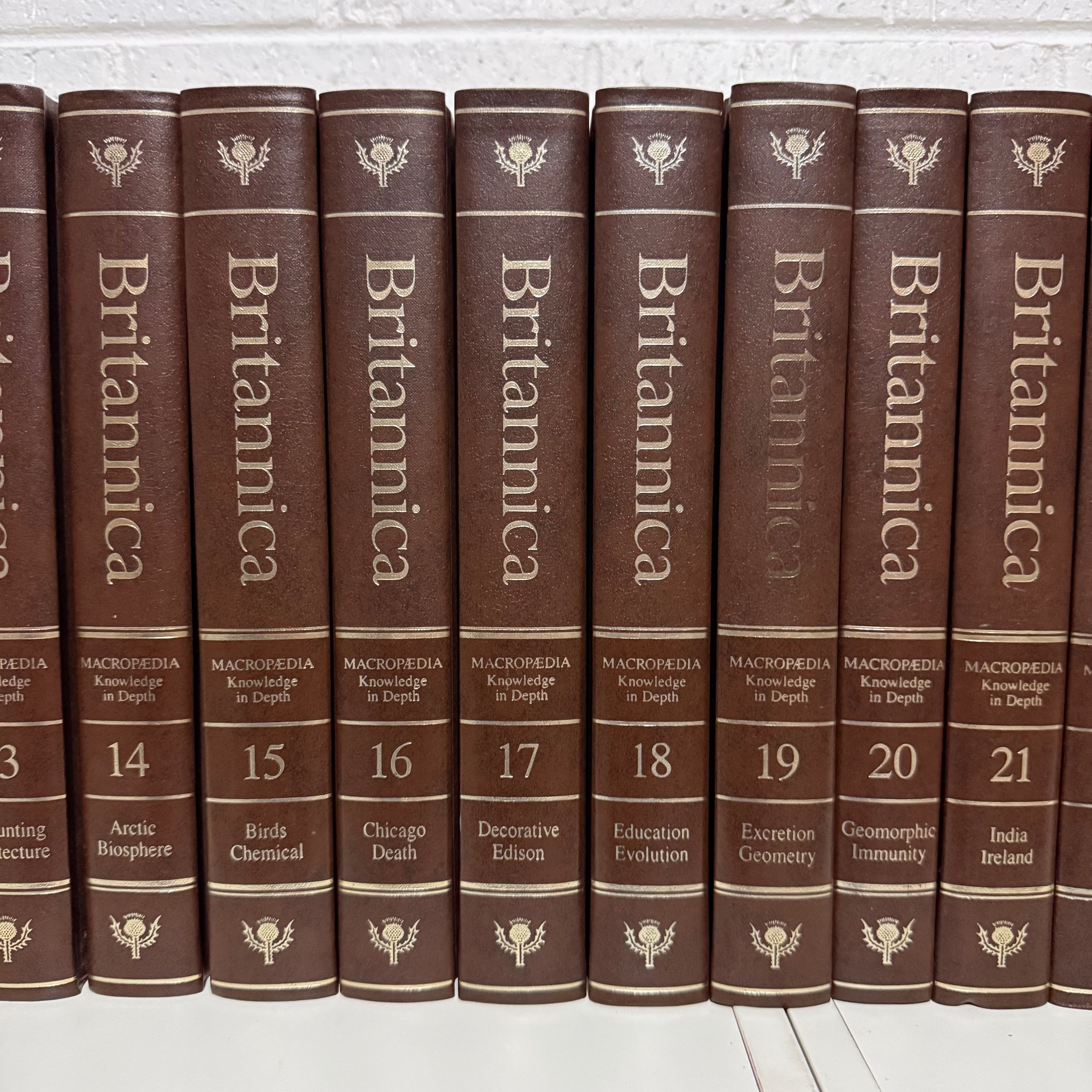 1988 Encyclopaedia Britannica Micropaedia Complete 32 Book Set, Brown Edition