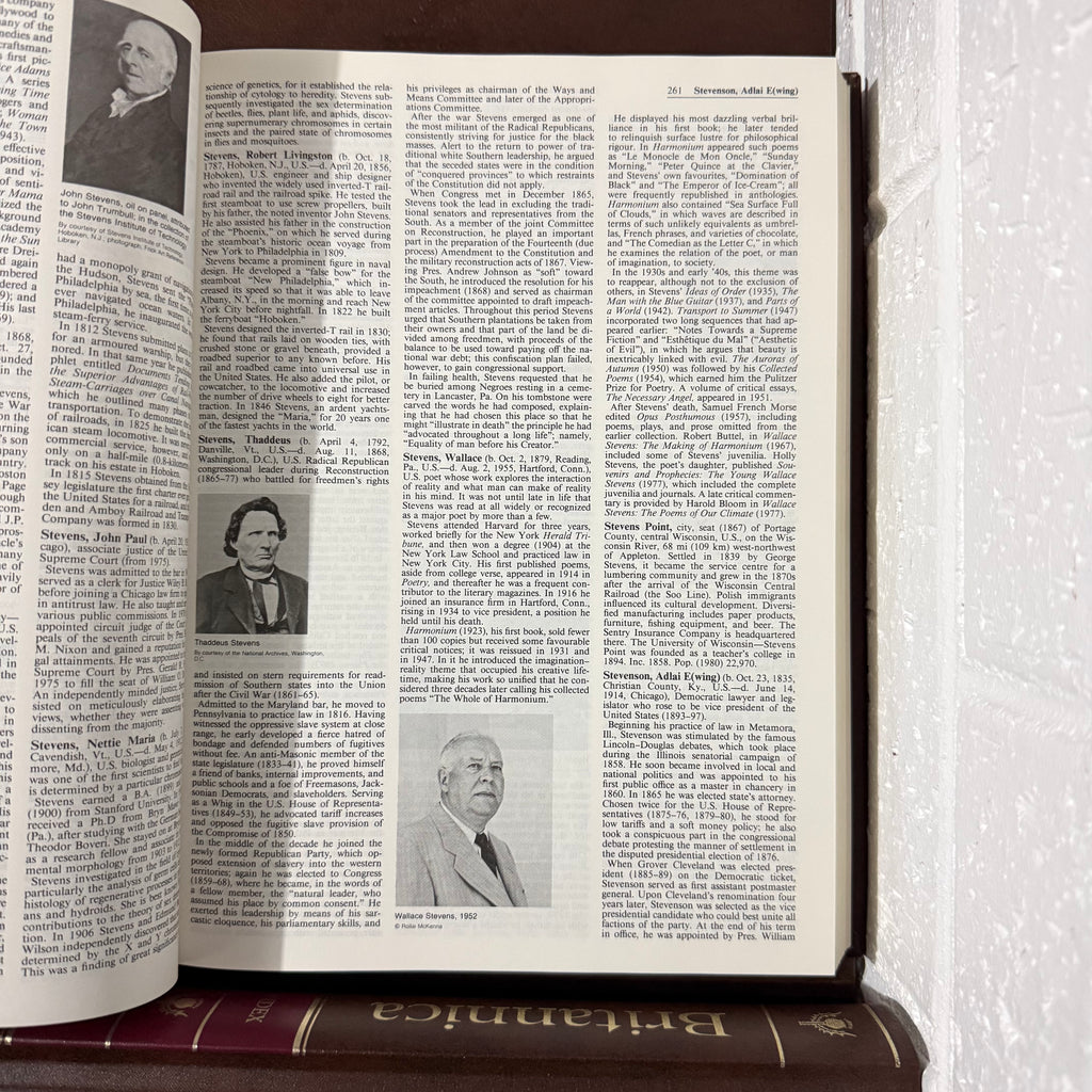1988 Encyclopaedia Britannica Micropaedia Complete 32 Book Set, Brown Edition