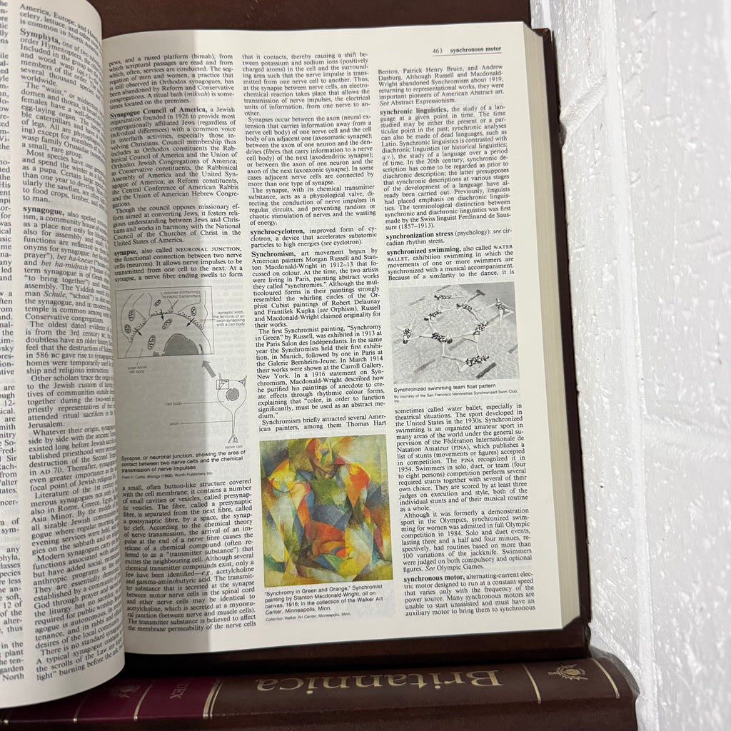 1988 Encyclopaedia Britannica Micropaedia Complete 32 Book Set, Brown Edition