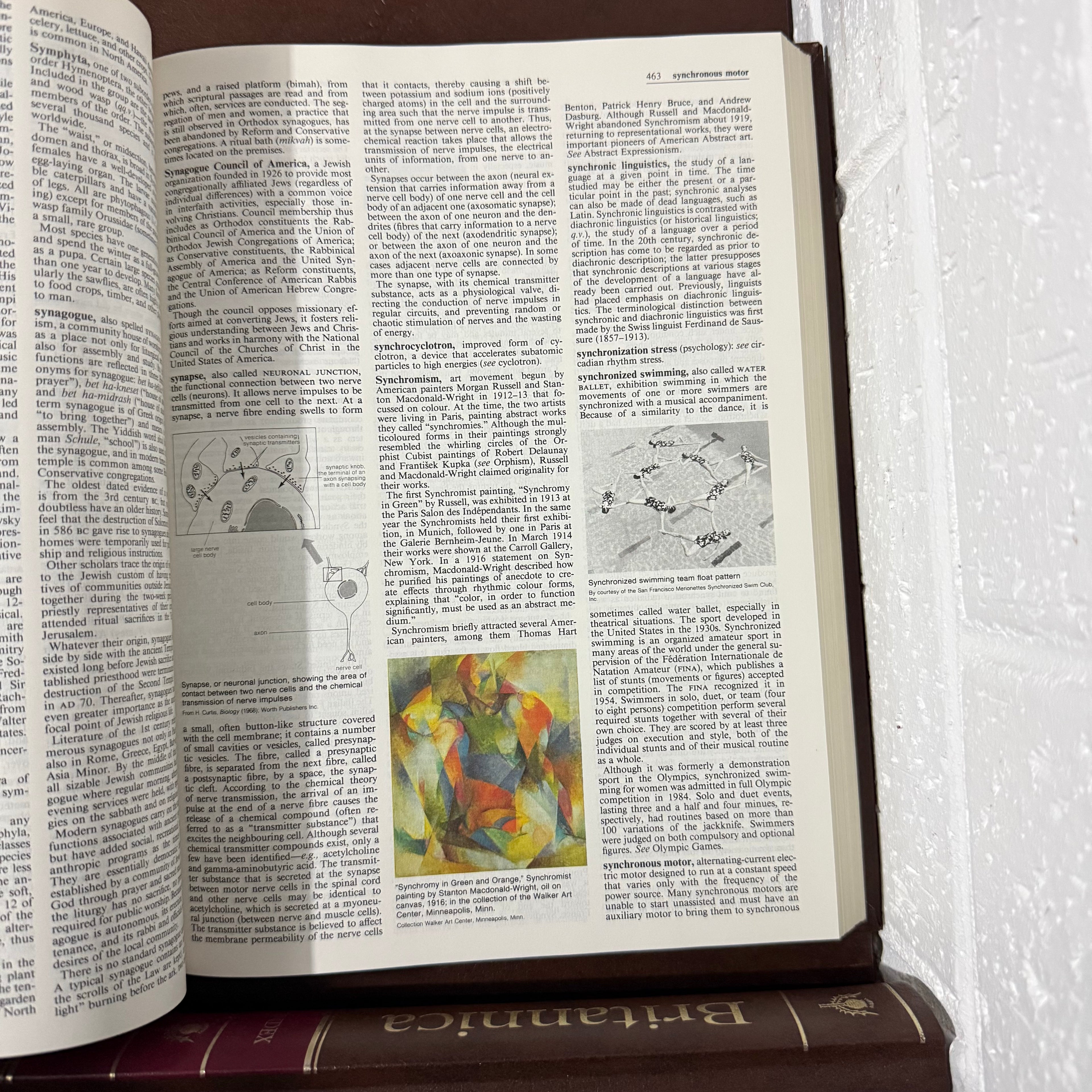 1988 Encyclopaedia Britannica Micropaedia Complete 32 Book Set, Brown Edition