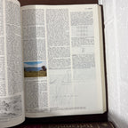 1988 Encyclopaedia Britannica Micropaedia Complete 32 Book Set, Brown Edition