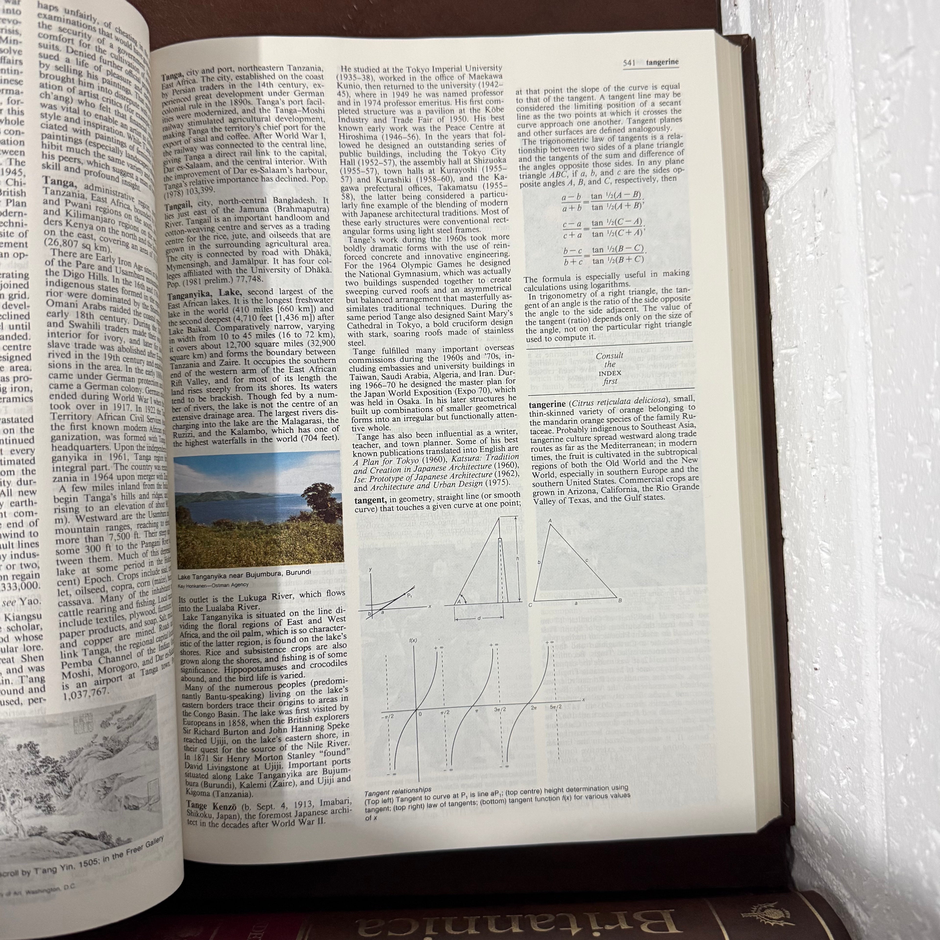 1988 Encyclopaedia Britannica Micropaedia Complete 32 Book Set, Brown Edition