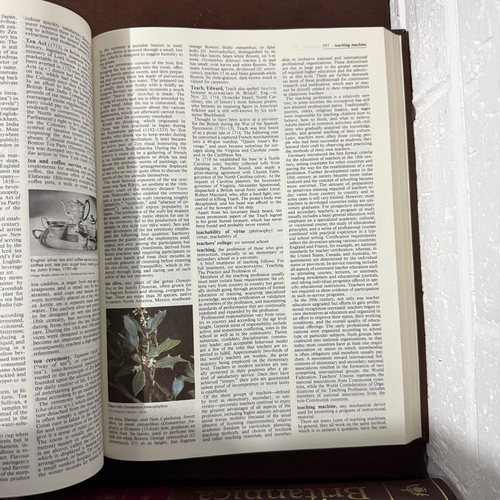 1988 Encyclopaedia Britannica Micropaedia Complete 32 Book Set, Brown Edition
