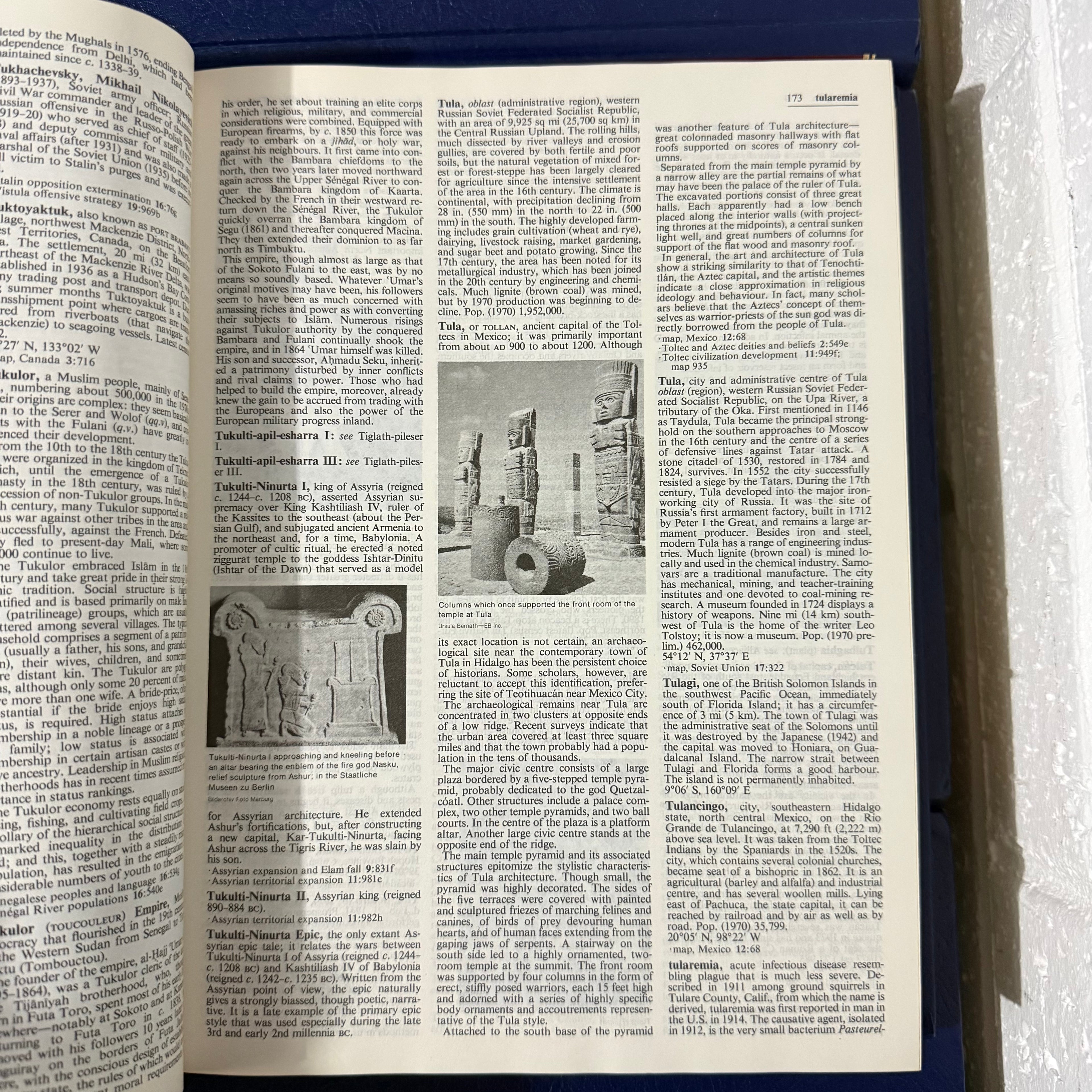 1976 Encyclopaedia Britannica Micropaedia 30 Complete Book Set - Blue Edition