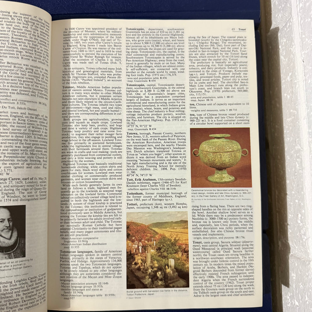 1976 Encyclopaedia Britannica Micropaedia 30 Complete Book Set - Blue Edition